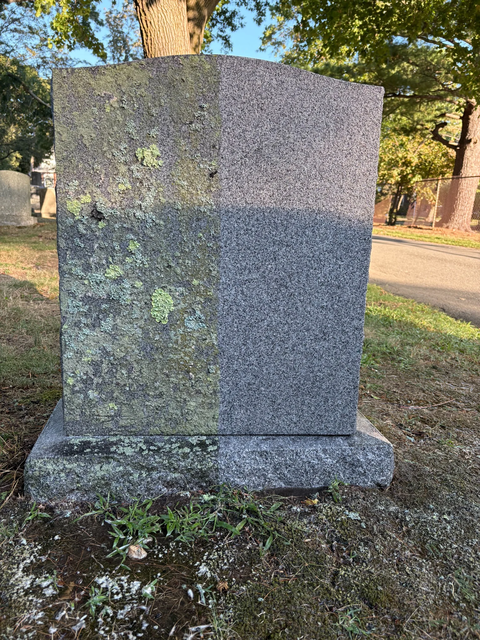 Gravestone before professional cleaning